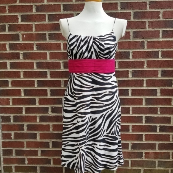 New‎ Ann Taylor Zebra Print w/ hot pink sash Dress - Picture 1 of 4